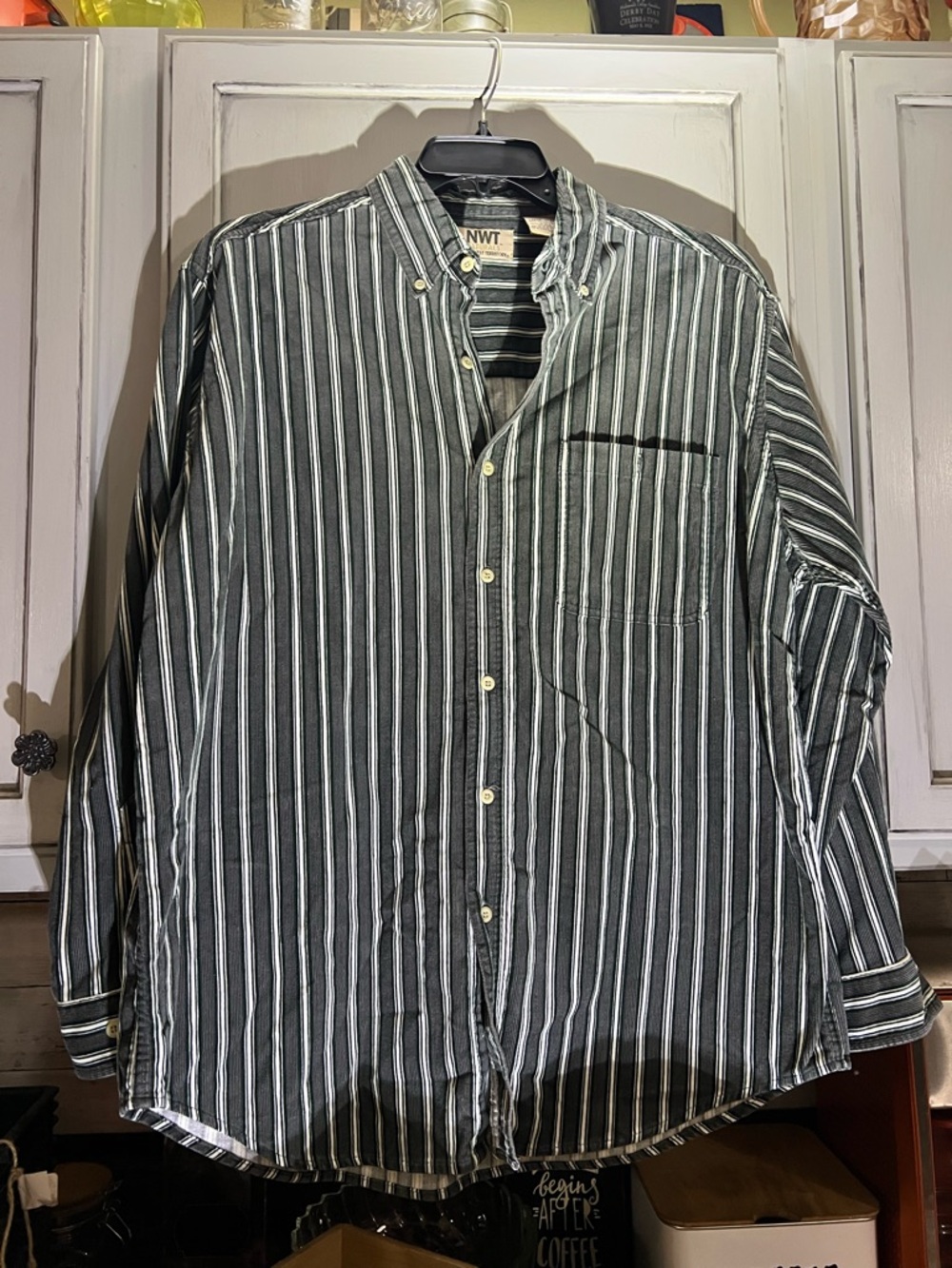 Northwest Territory Green and White Striped Button-Down Shirt